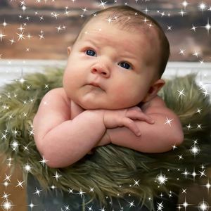 Meet your Posher, Mollie